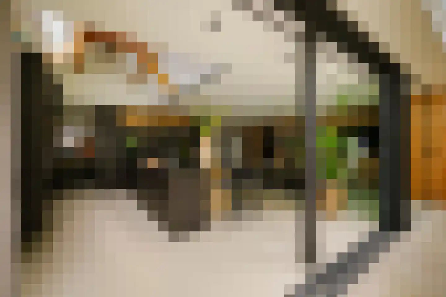 Louise de Colignylaan 6 Santpoort-Zuid thumbnail 8