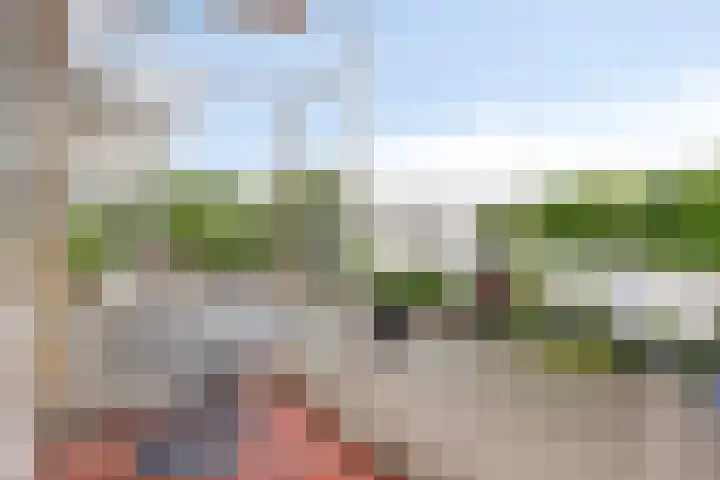 Louise de Colignylaan 63 Rotterdam thumbnail 5