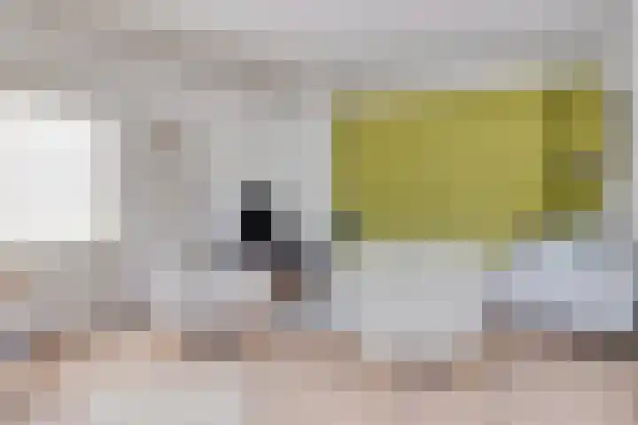 Louise de Colignylaan 63 Rotterdam thumbnail 6