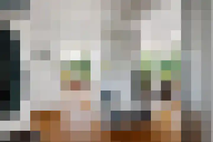 Louise de Colignylaan 65 Rotterdam thumbnail 15