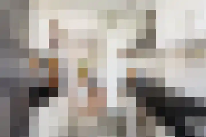 Louise de Colignylaan 65 Rotterdam thumbnail 19