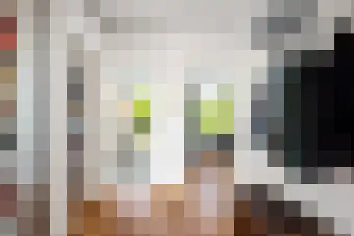 Louise de Colignylaan 65 Rotterdam thumbnail 25