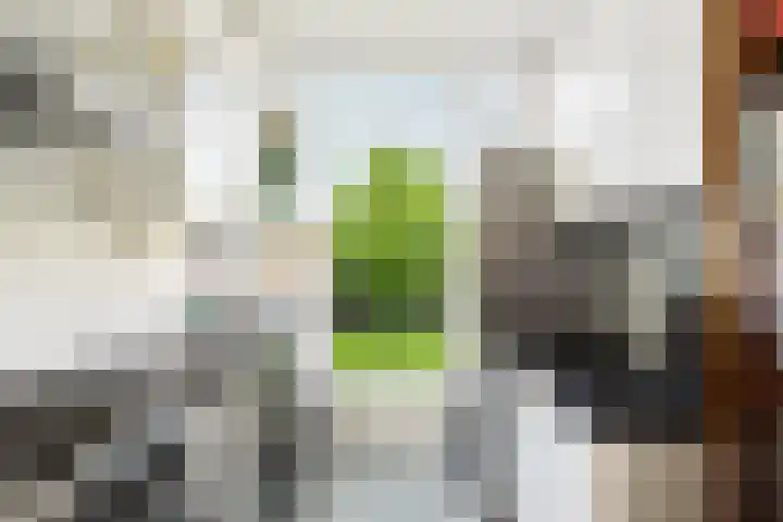 Louise de Colignylaan 65 Rotterdam thumbnail 6