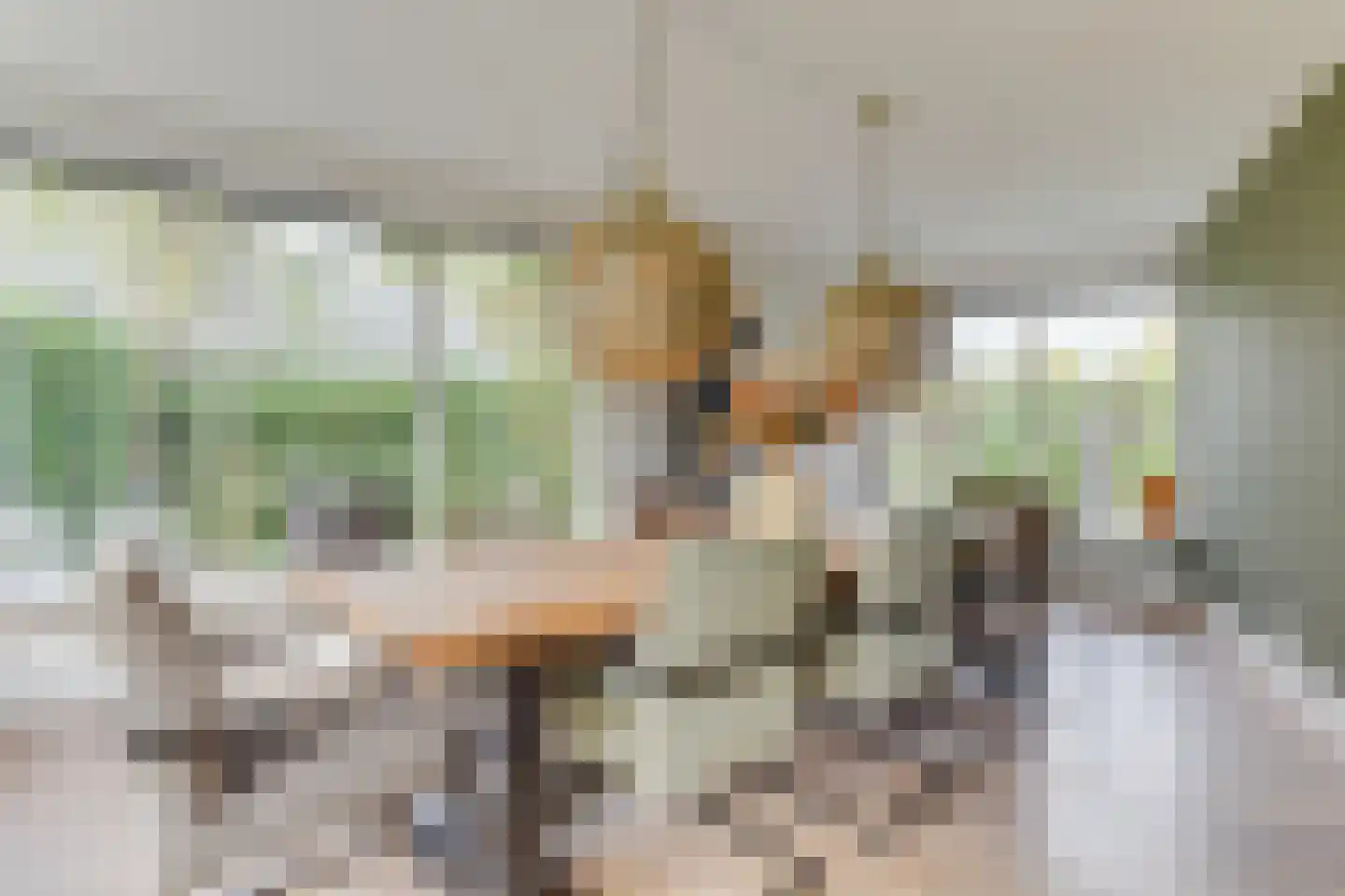 Louise de Colignylaan 7 Hoorn thumbnail 24
