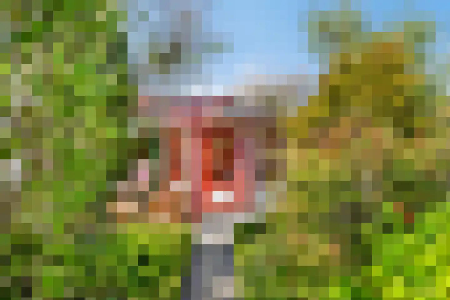 Louise de Colignylaan 7 Zierikzee thumbnail 11