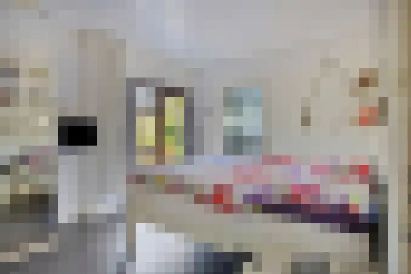 Louise de Colignylaan 7 Zierikzee thumbnail 12