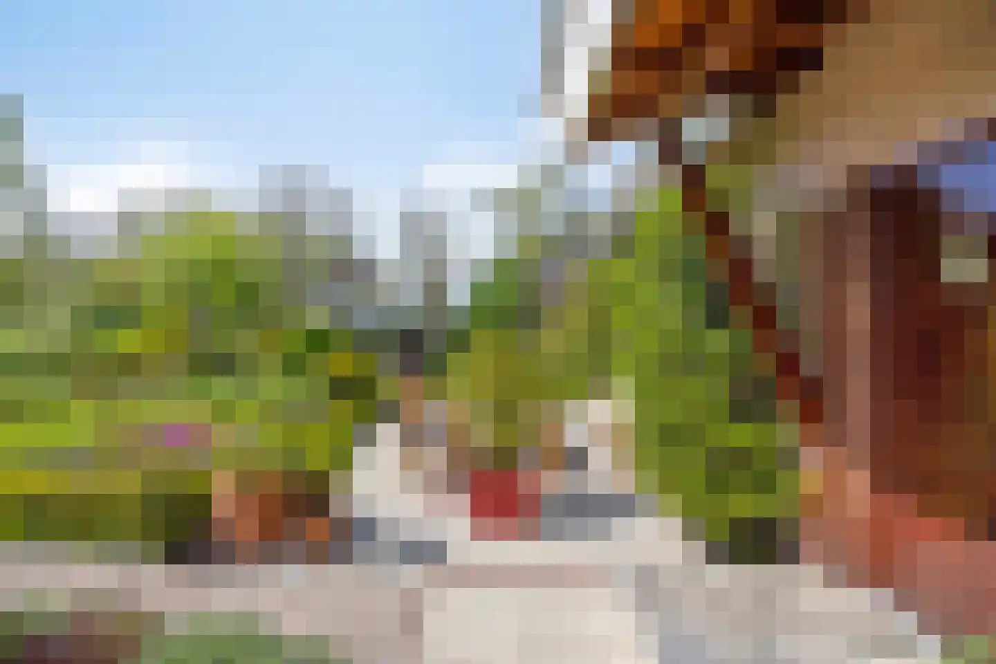 Louise de Colignylaan 7 Zierikzee thumbnail 5