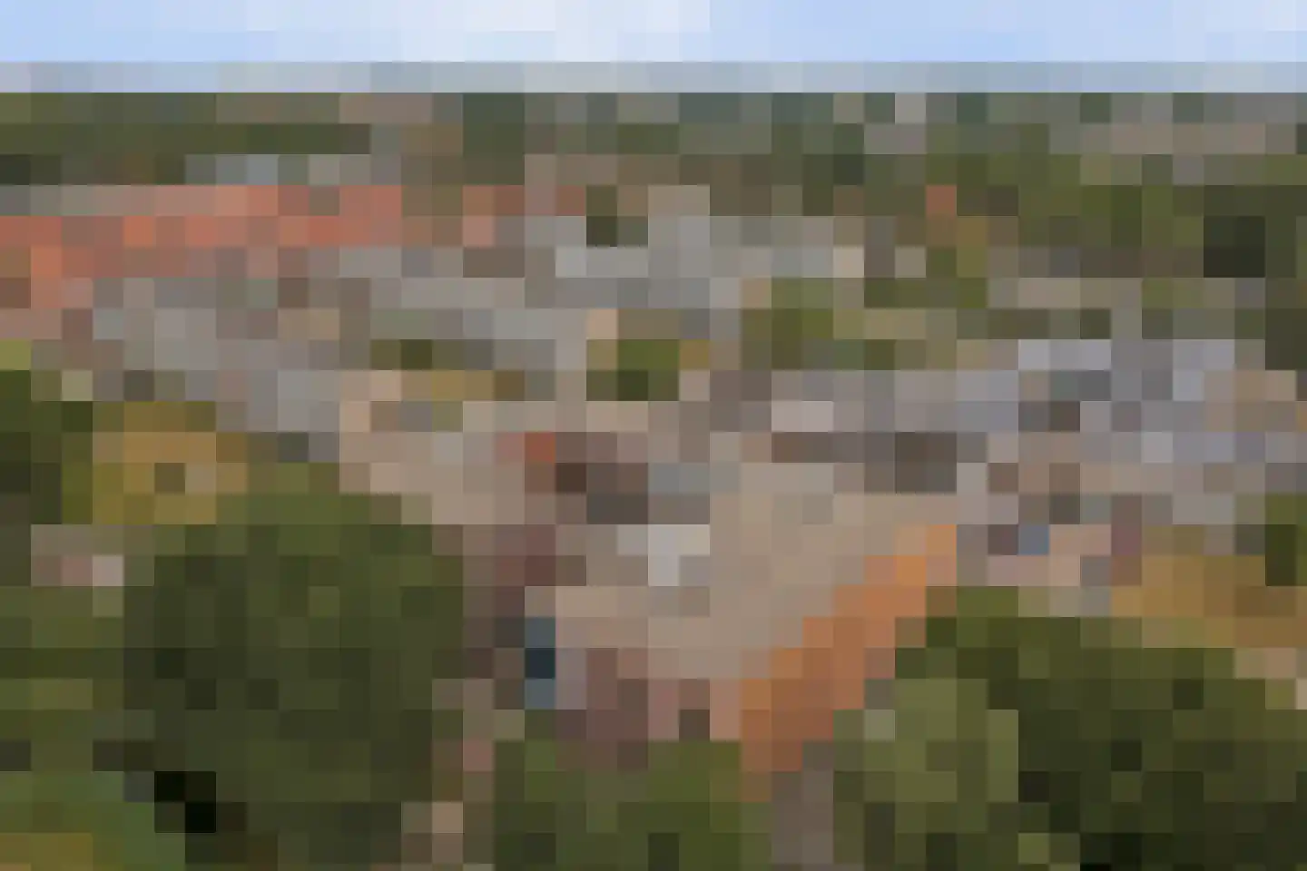 Louise de Colignylaan 9 Katwijk thumbnail 38