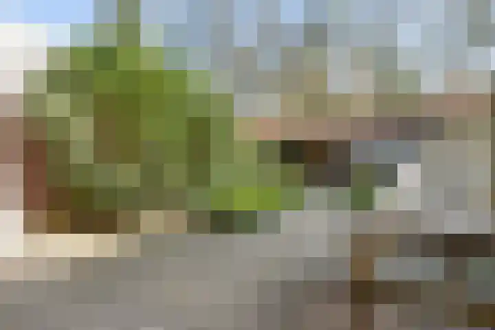 Louise de Colignyplein 19 Zeist thumbnail 17