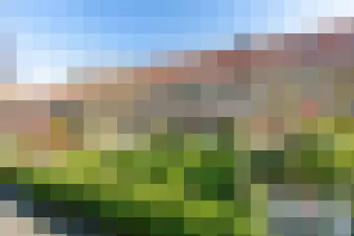 Louise de Colignyplein 19 Zeist thumbnail 26