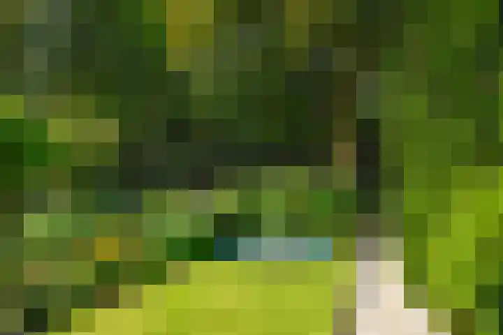 Louise de Colignyplein 2 Zeist thumbnail 5
