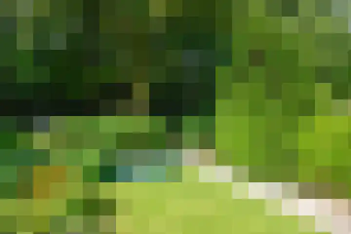 Louise de Colignyplein 2 Zeist thumbnail 6