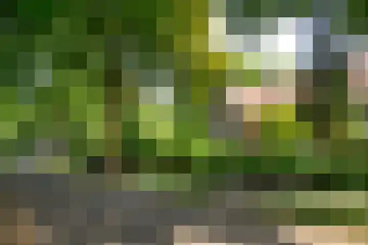 Louise de Colignyplein 2 Zeist thumbnail 7