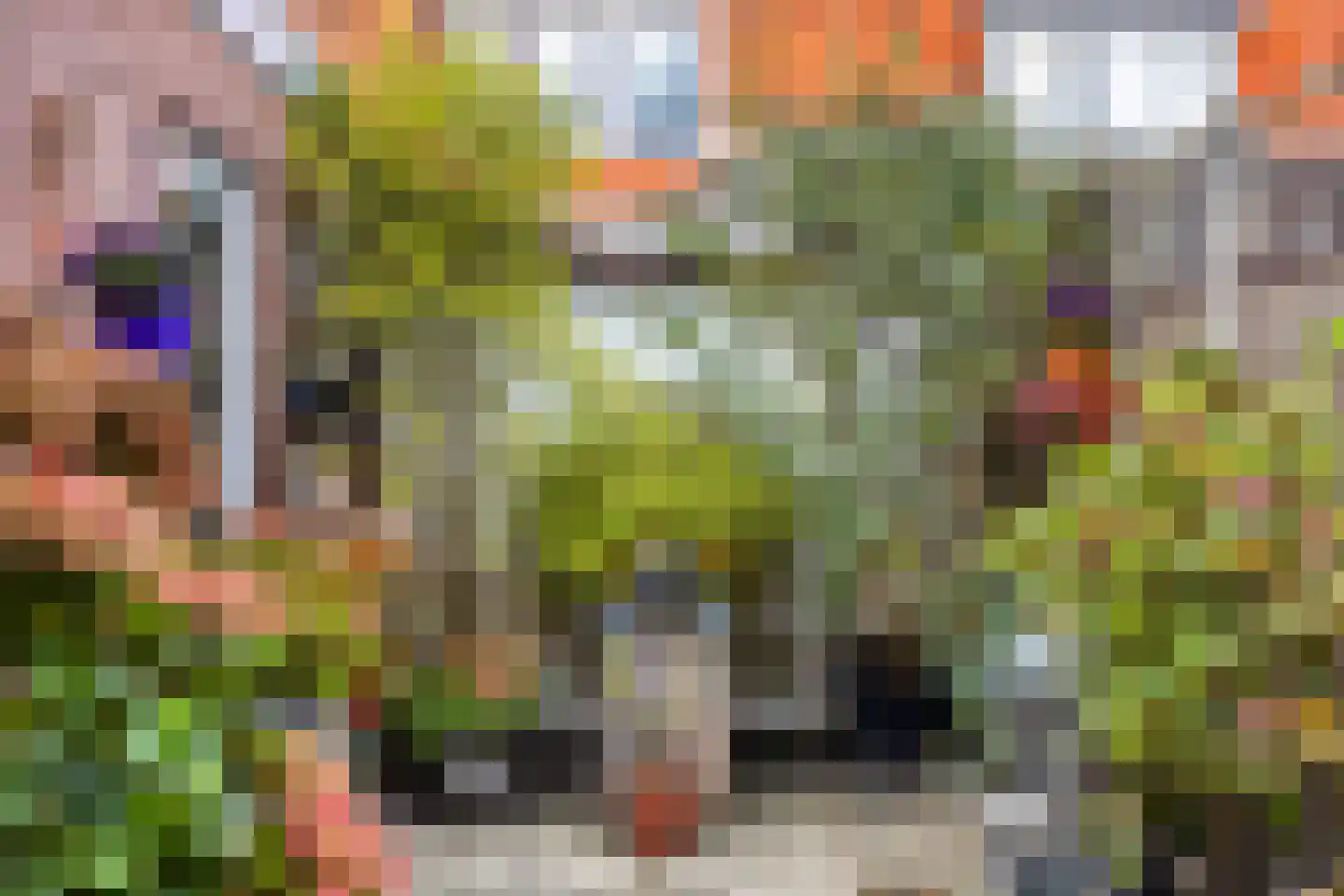 Louise de Colignysingel 49 Kampen thumbnail 34