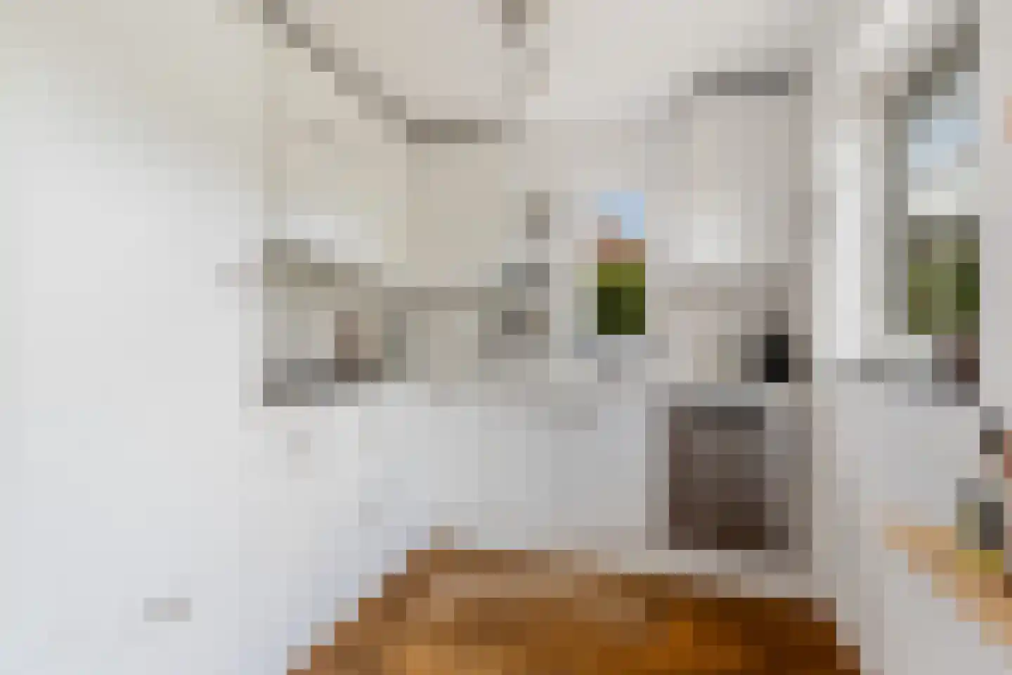 Louise de Colignystraat 1 Pijnacker thumbnail 14