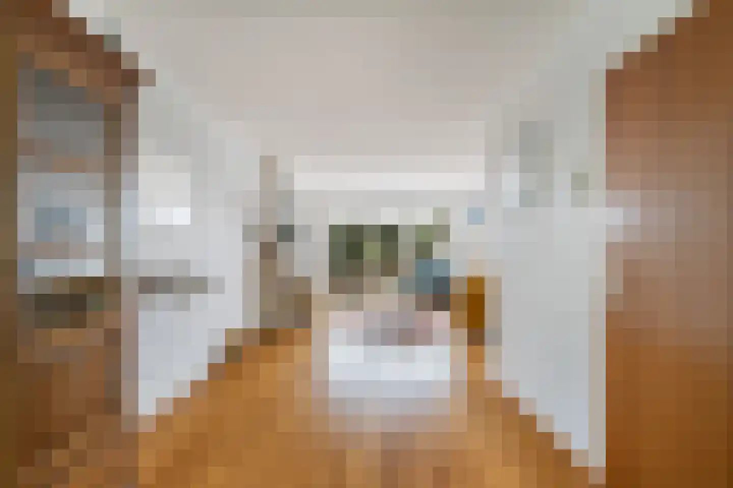 Louise de Colignystraat 1 Pijnacker thumbnail 16