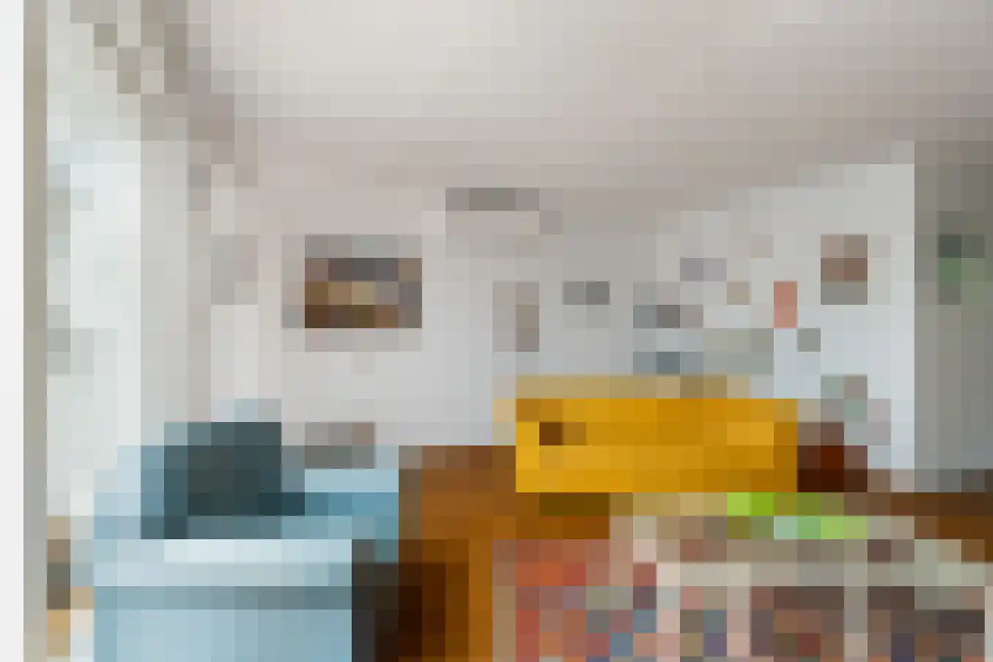 Louise de Colignystraat 1 Pijnacker thumbnail 18