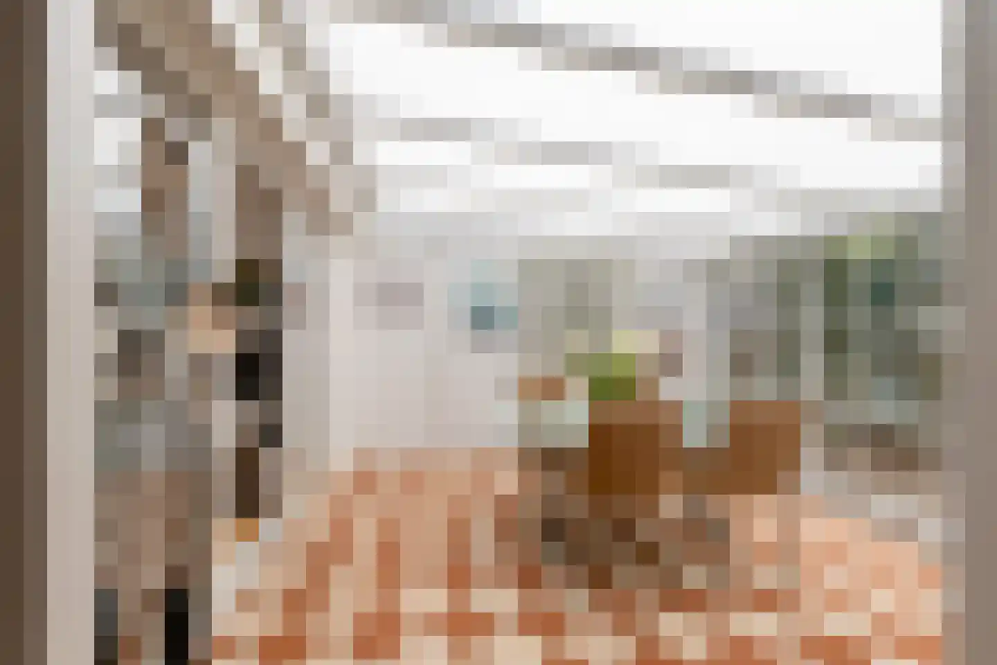 Louise de Colignystraat 1 Pijnacker thumbnail 21