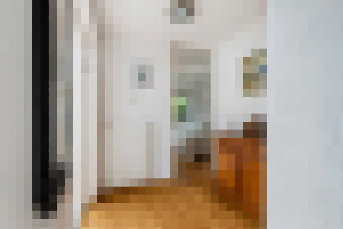 Louise de Colignystraat 1 Pijnacker thumbnail 23
