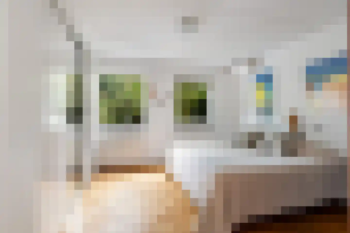 Louise de Colignystraat 1 Pijnacker thumbnail 24