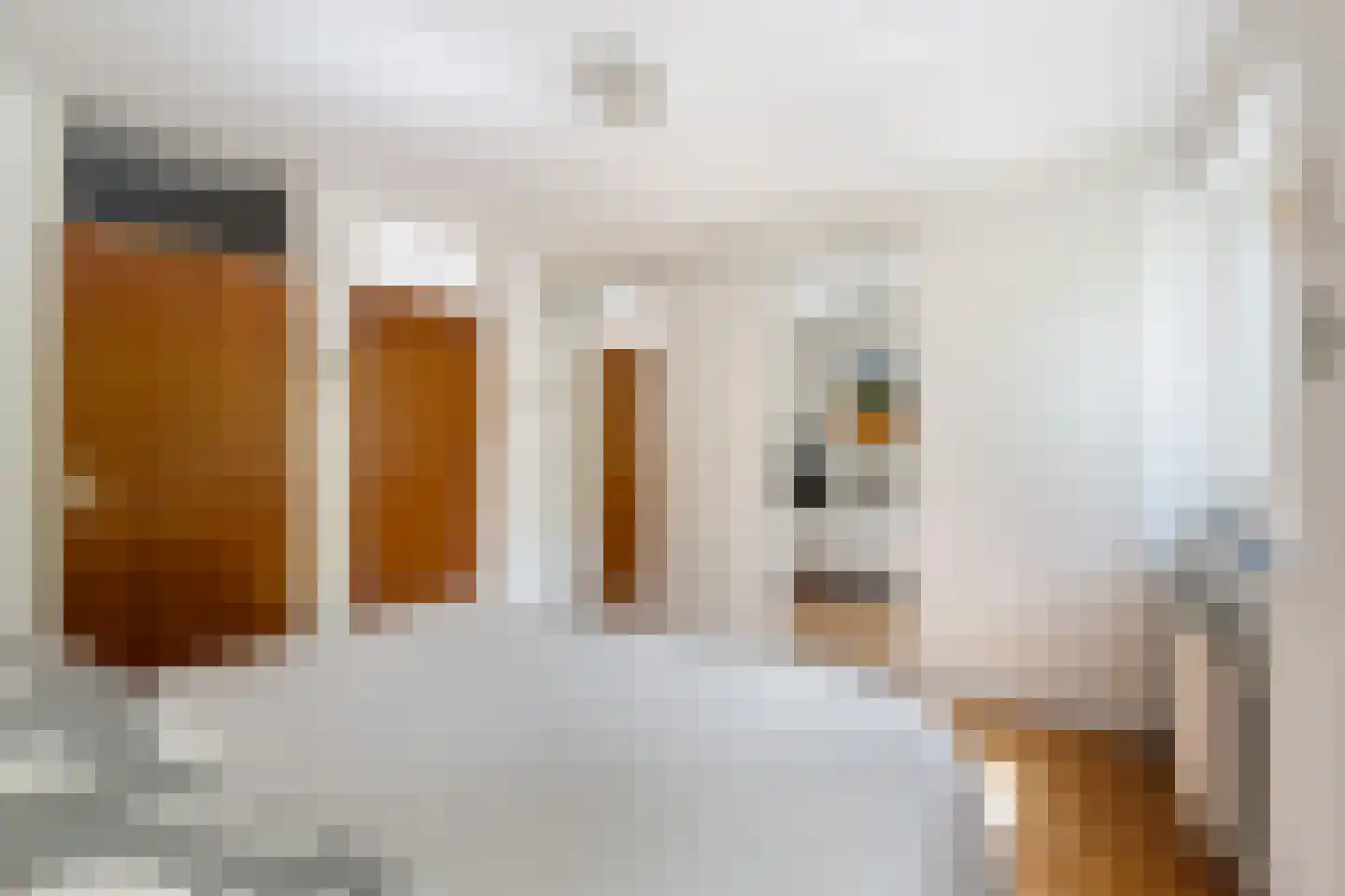 Louise de Colignystraat 1 Pijnacker thumbnail 26