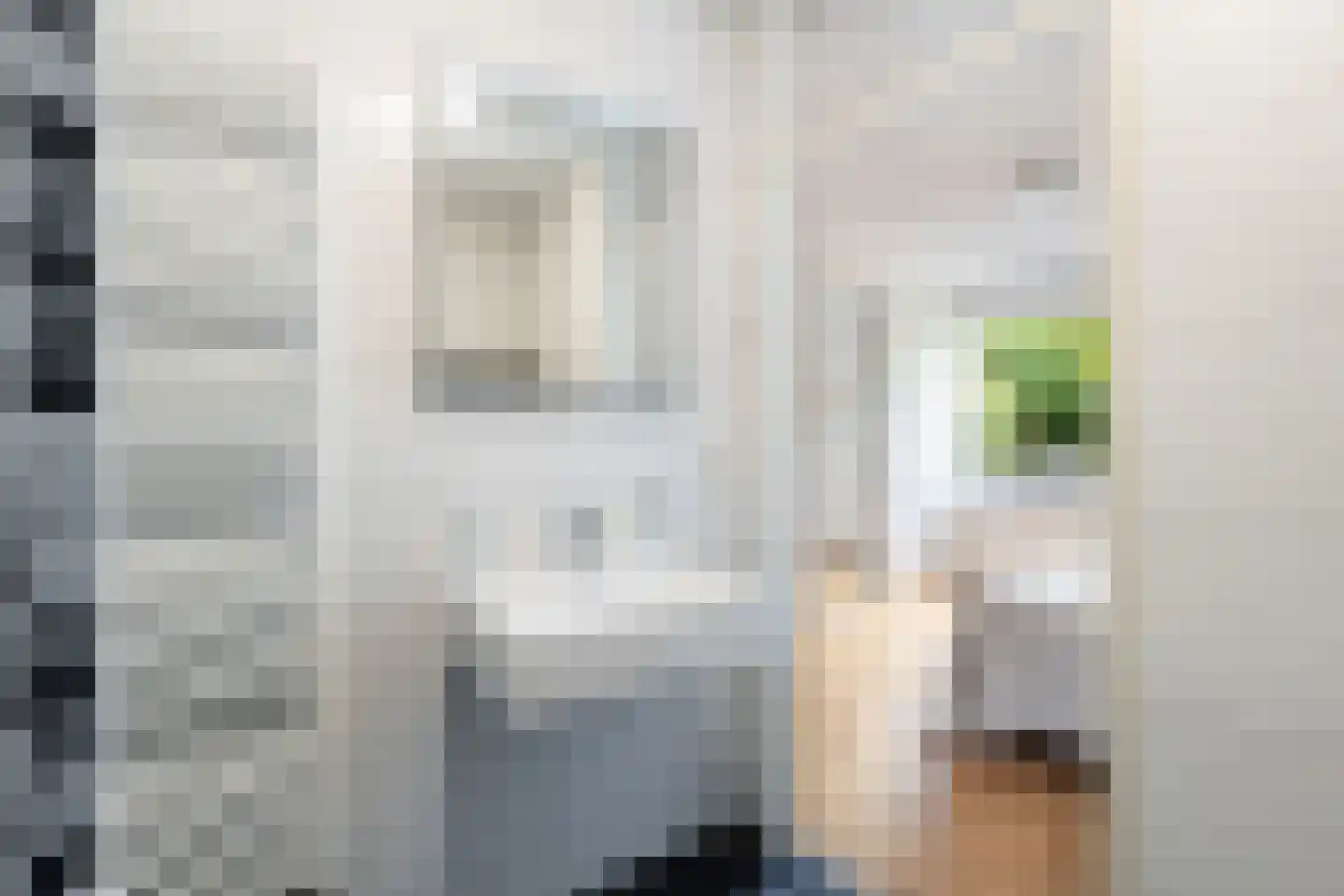 Louise de Colignystraat 1 Pijnacker thumbnail 29
