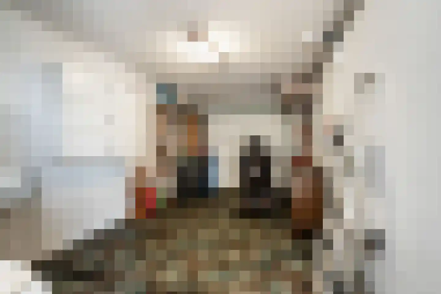 Louise de Colignystraat 1 Pijnacker thumbnail 30
