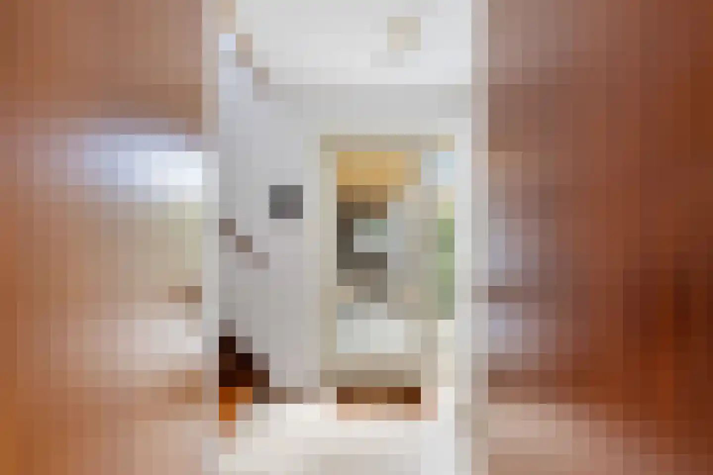 Louise de Colignystraat 1 Pijnacker thumbnail 31