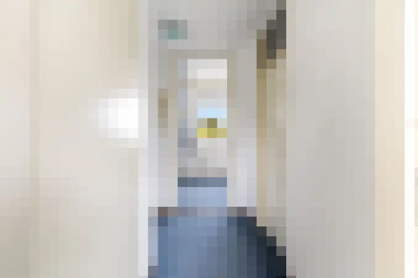 Louise de Colignystraat 1 Pijnacker thumbnail 36