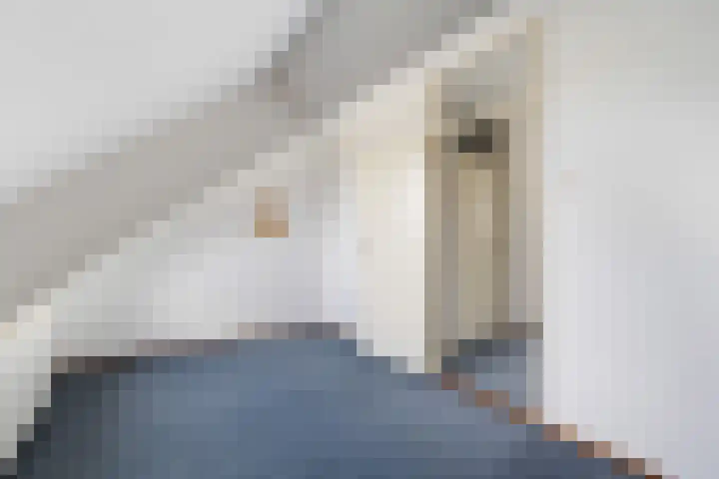 Louise de Colignystraat 1 Pijnacker thumbnail 40