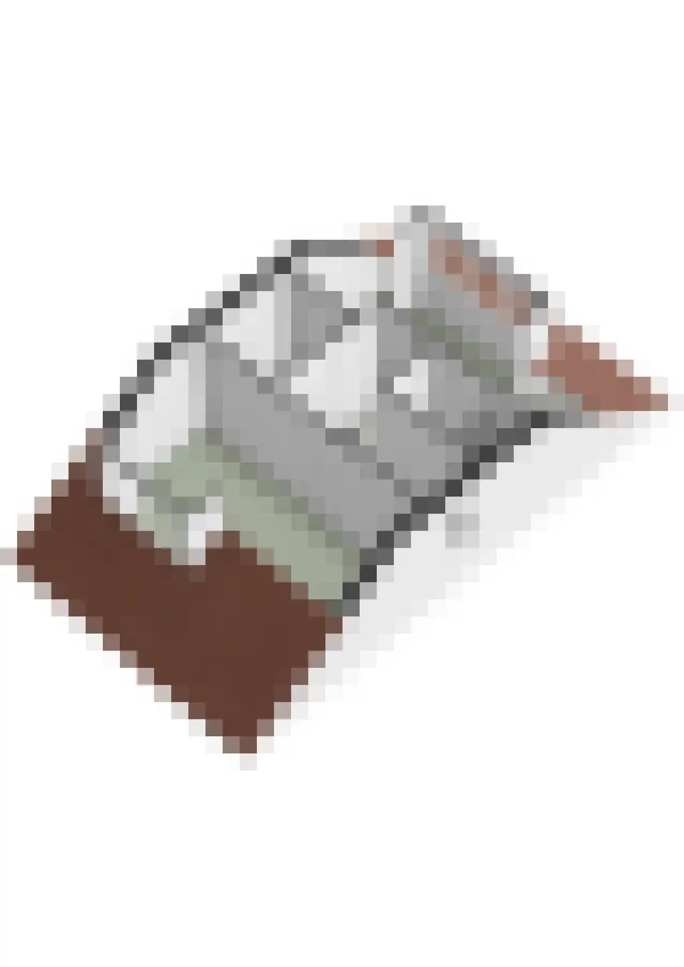 Louise de Colignystraat 1 Pijnacker thumbnail 54