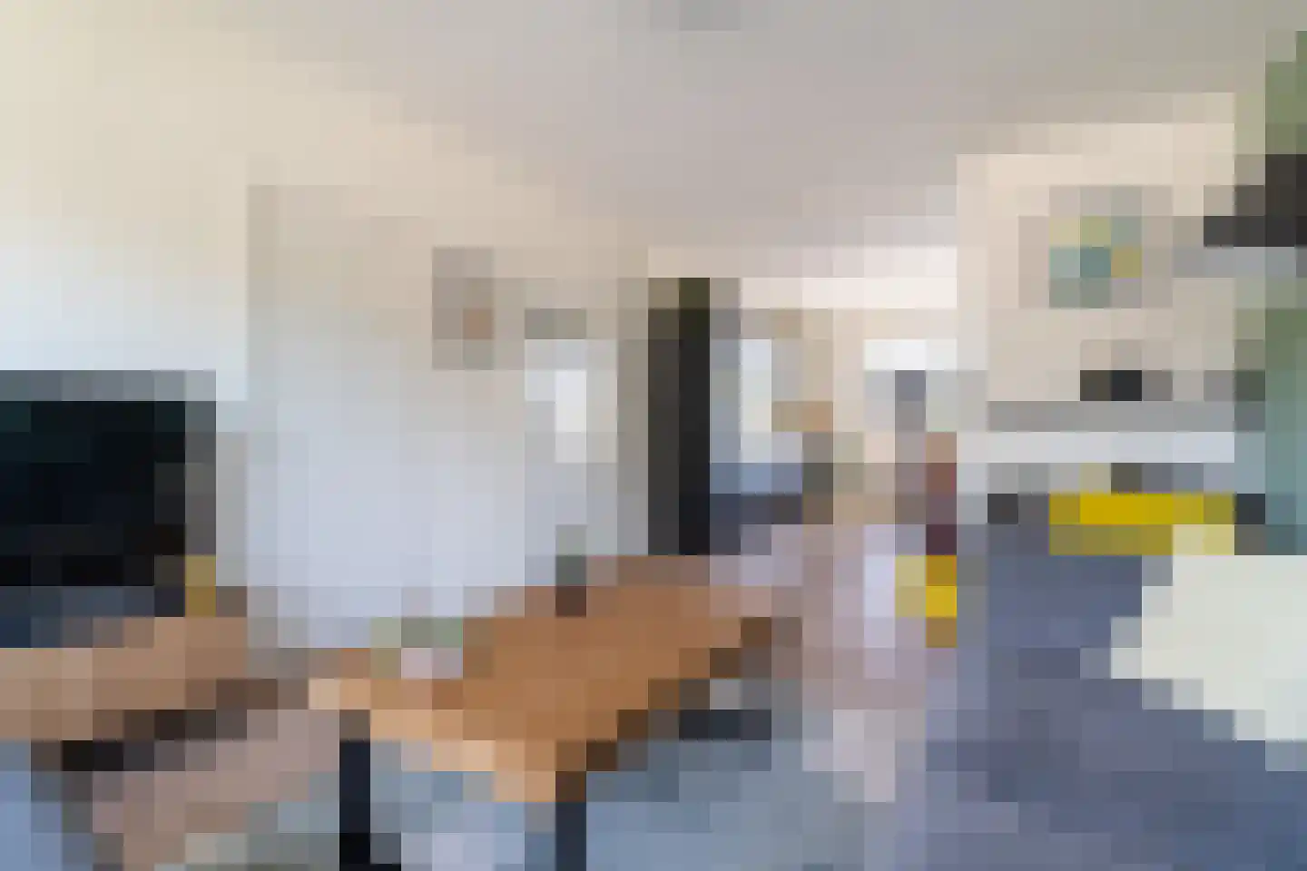 Louise de Colignystraat 10 Alphen aan den Rijn thumbnail 16