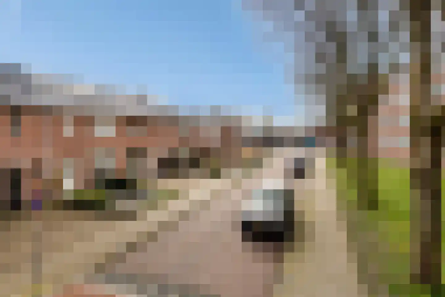 Louise de Colignystraat 13 Weert thumbnail 39