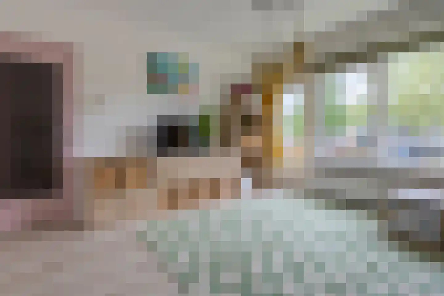 Louise de Colignystraat 16 Alphen aan den Rijn thumbnail 4