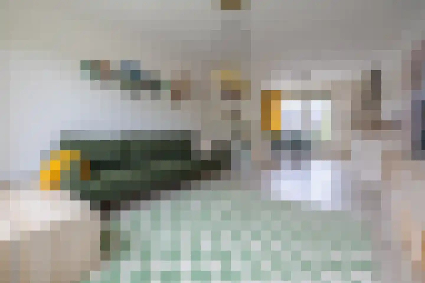 Louise de Colignystraat 16 Alphen aan den Rijn thumbnail 4