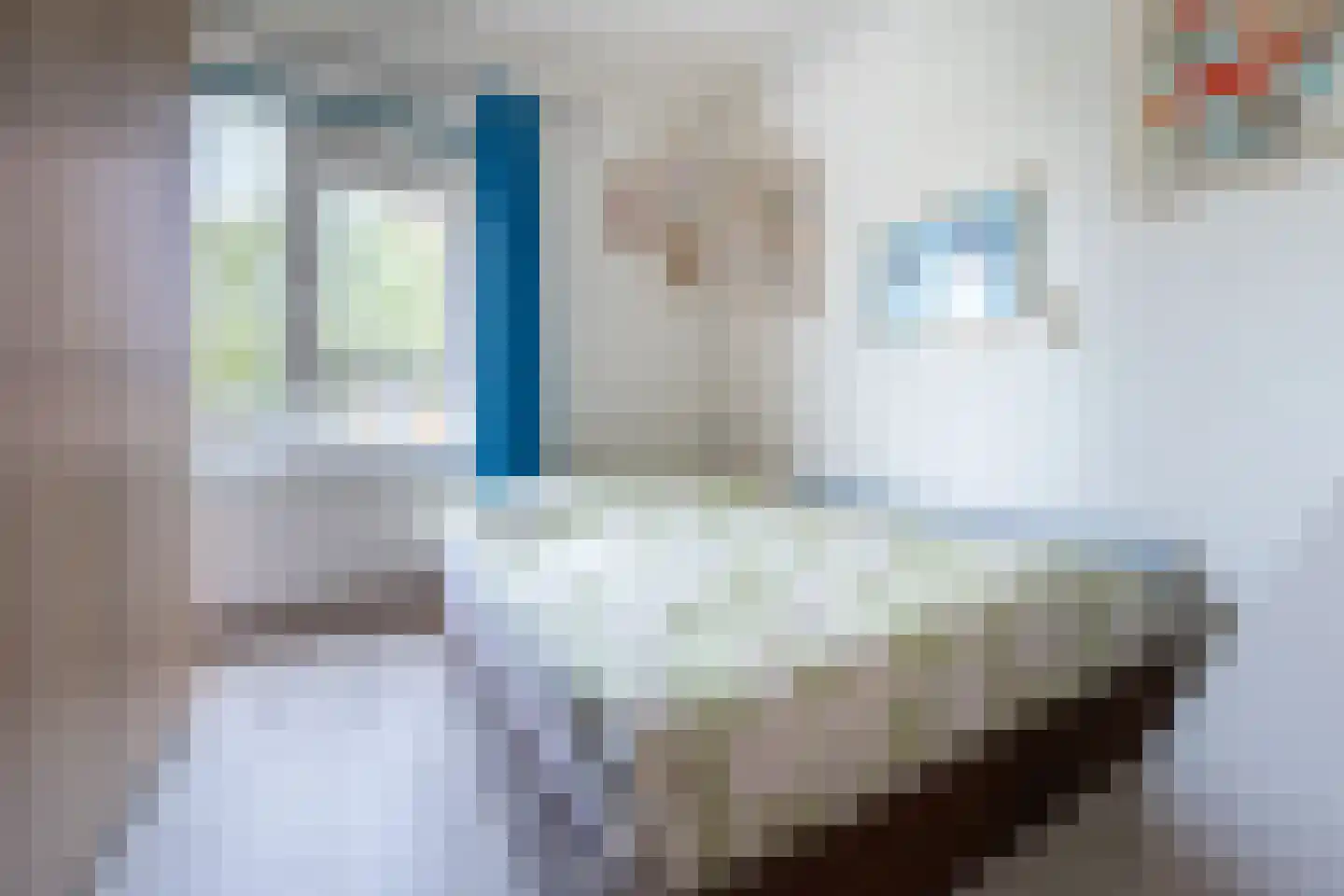 Louise de Colignystraat 16 Alphen aan den Rijn thumbnail 9