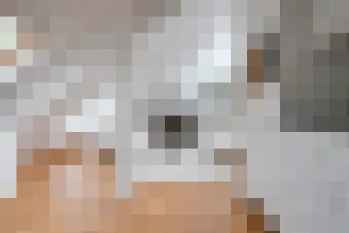 Louise de Colignystraat 2 C Utrecht thumbnail 13