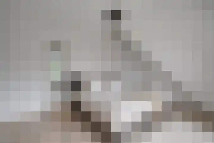 Louise de Colignystraat 2 C Utrecht thumbnail 15