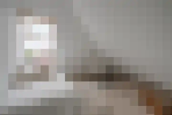Louise de Colignystraat 2 C Utrecht thumbnail 16