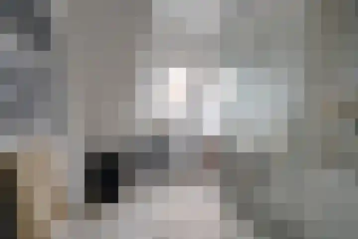 Louise de Colignystraat 2 C Utrecht thumbnail 17