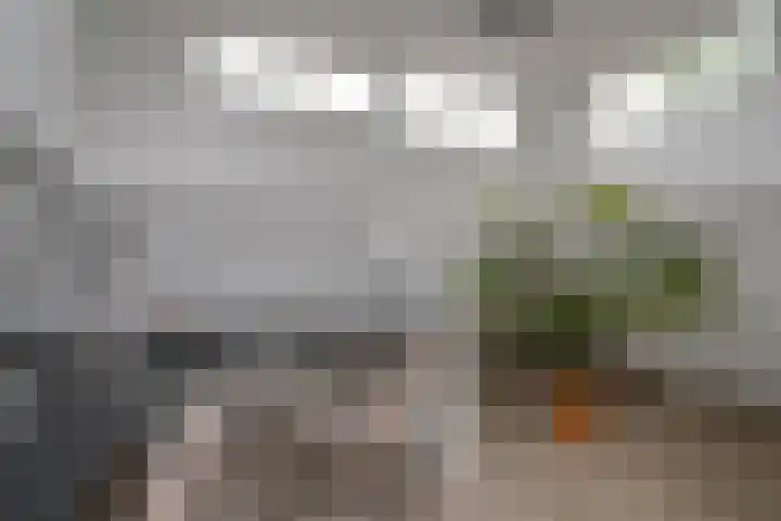 Louise de Colignystraat 2 C Utrecht thumbnail 21