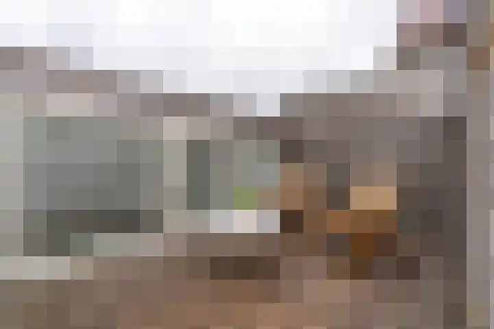 Louise de Colignystraat 2 C Utrecht thumbnail 22