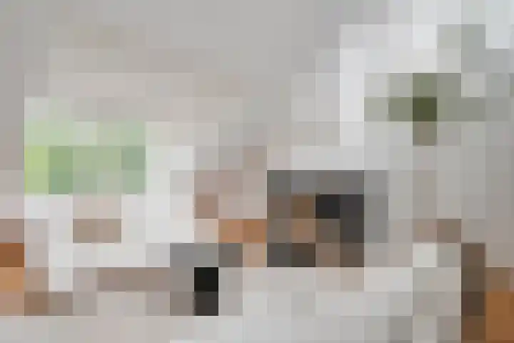 Louise de Colignystraat 2 C Utrecht thumbnail 5