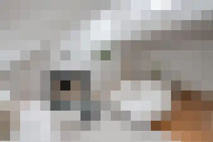Louise de Colignystraat 2 C Utrecht thumbnail 6