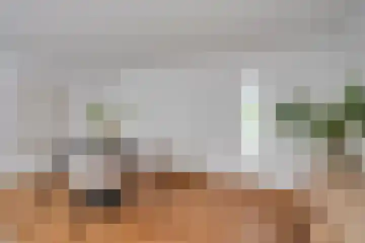 Louise de Colignystraat 2 C Utrecht thumbnail 8