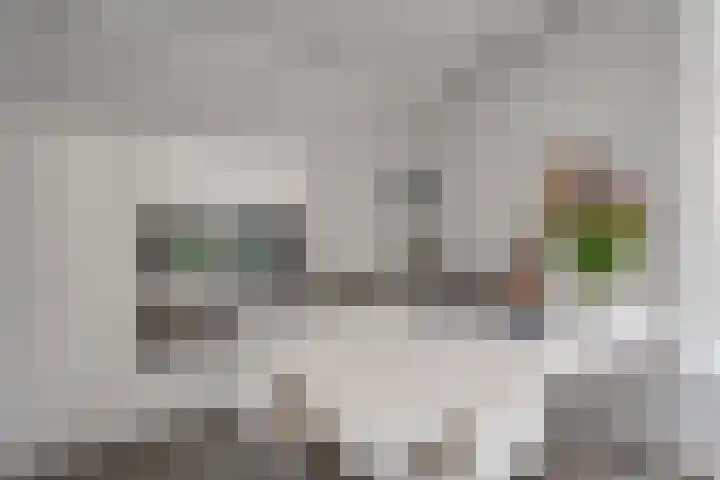 Louise de Colignystraat 2 Utrecht thumbnail 11