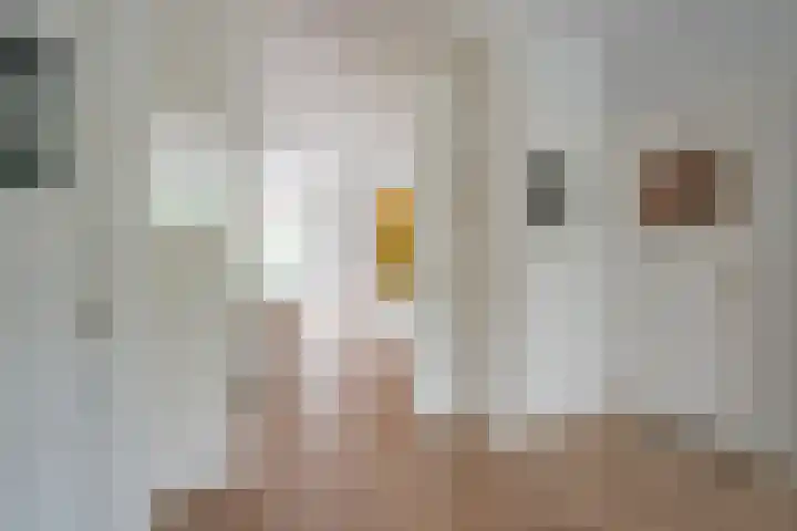Louise de Colignystraat 2 Utrecht thumbnail 4