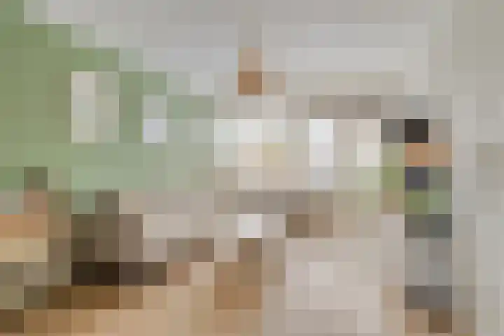 Louise de Colignystraat 22 Alphen aan den Rijn thumbnail 11