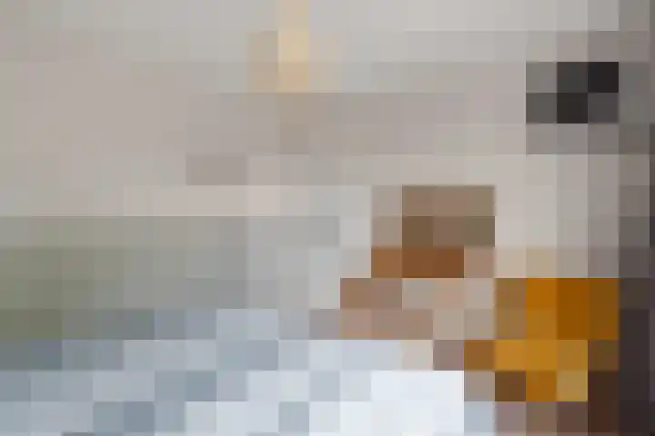Louise de Colignystraat 23 Alphen aan den Rijn thumbnail 32