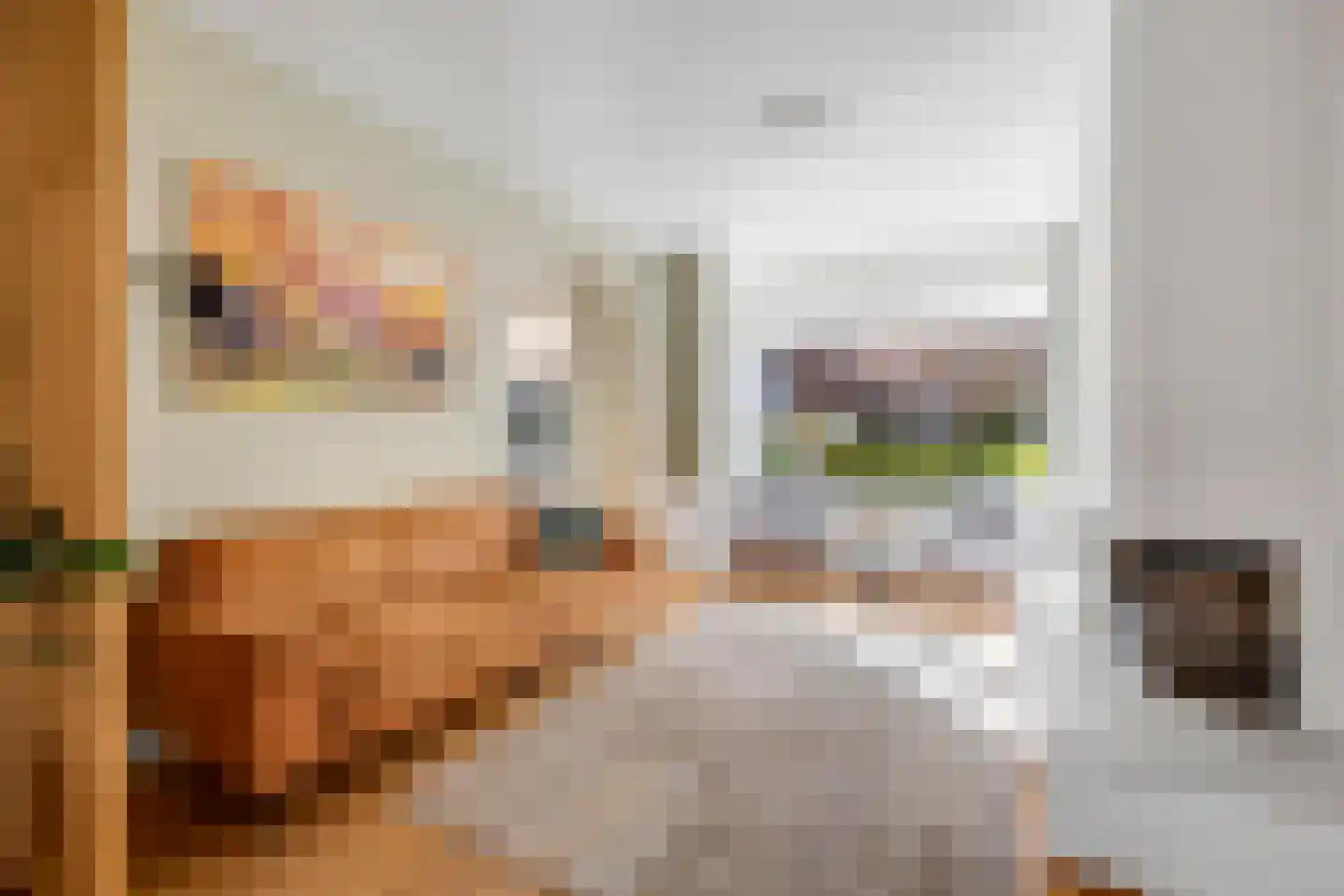 Louise de Colignystraat 34 Schiedam thumbnail 11